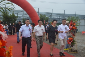 訪企拓崗在行動 隋江華院長出席藍石海洋工程新工廠奠基儀式，共促海洋智能裝備研發合作